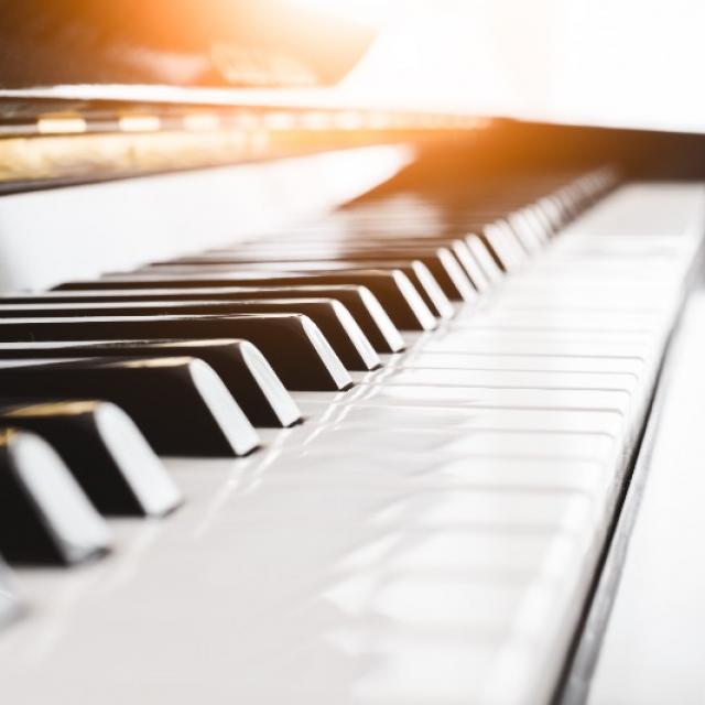 Retrouvez prochainement les pianos proposés à la vente par votre magasin
